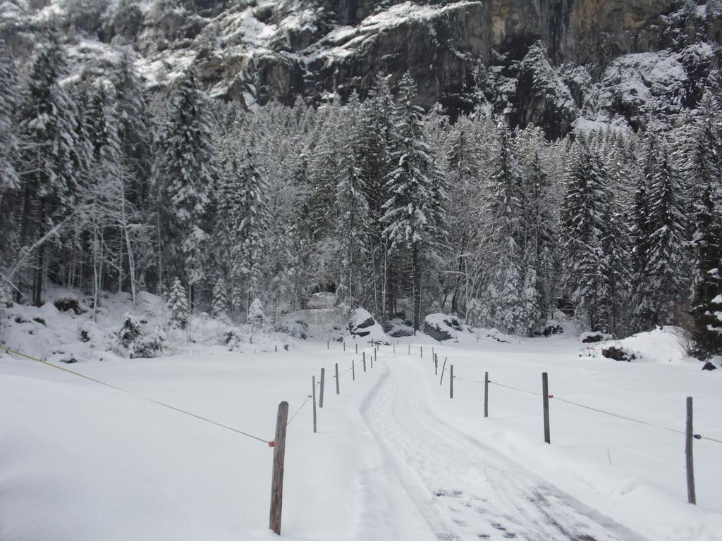 Appartment Chalet Sonnenheim Kandersteg Exterior foto